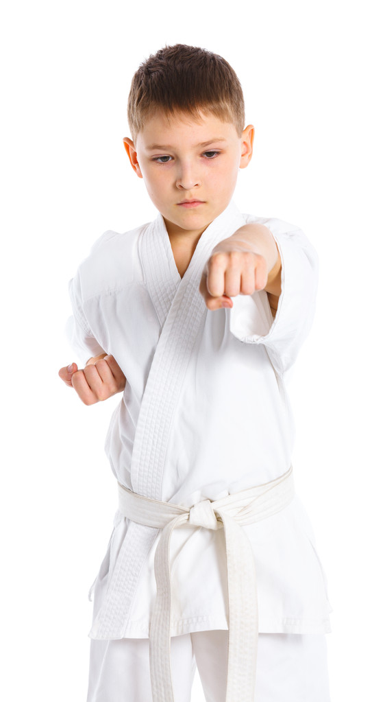 Kampfposition der Aikido-Jungen - Foto, Bild