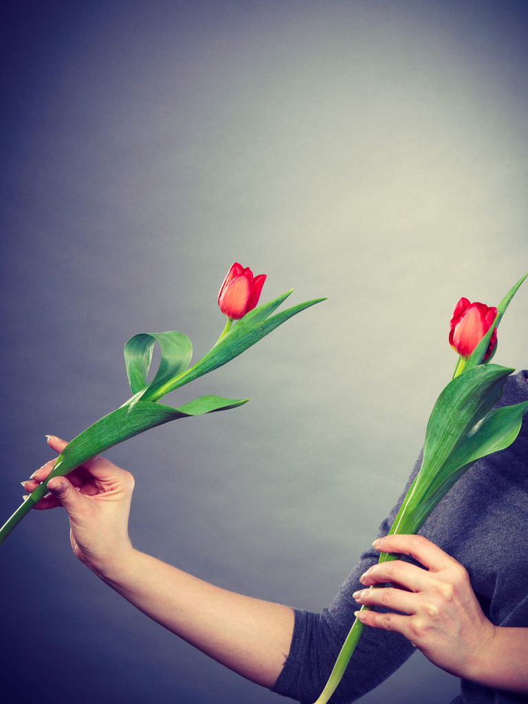 Female holding red flower. - Photo, Image