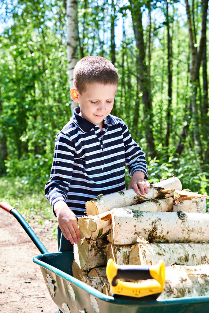 Mały chłopiec niesie drewno z lasu - Zdjęcie, obraz