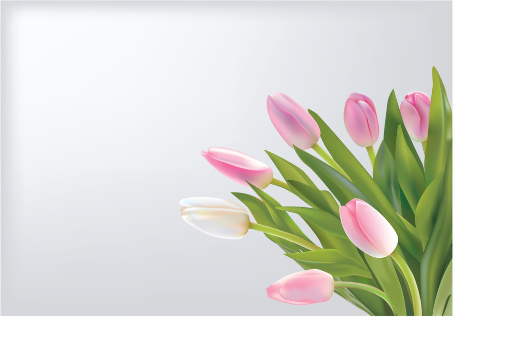 Tulips - Vector, Image