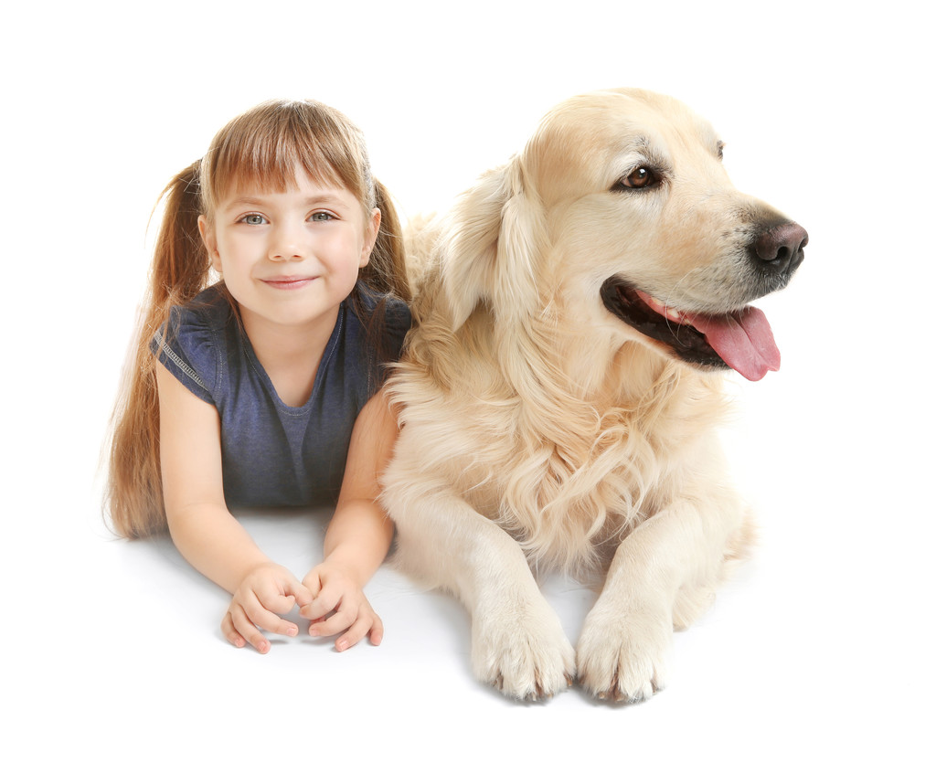 Petite fille et grand chien gentil
   - Photo, image