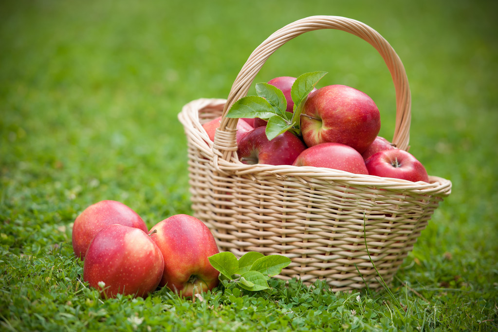 Manzanas frescas maduras en cesta
 - Foto, imagen