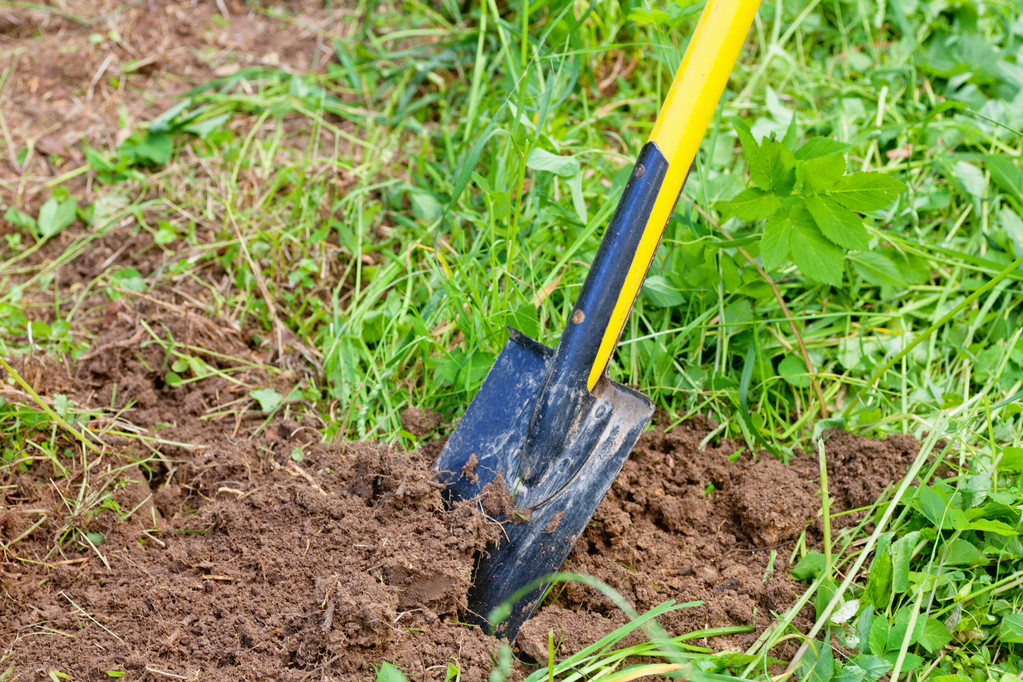 Садівництво лопатою в землі. Робота в саду, весна, хутір
 - Фото, зображення
