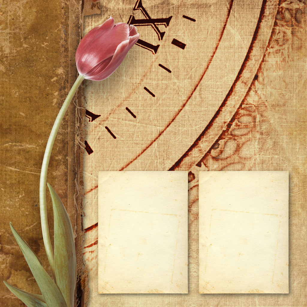 Old vintage album with  beautiful pink tulips - Photo, Image