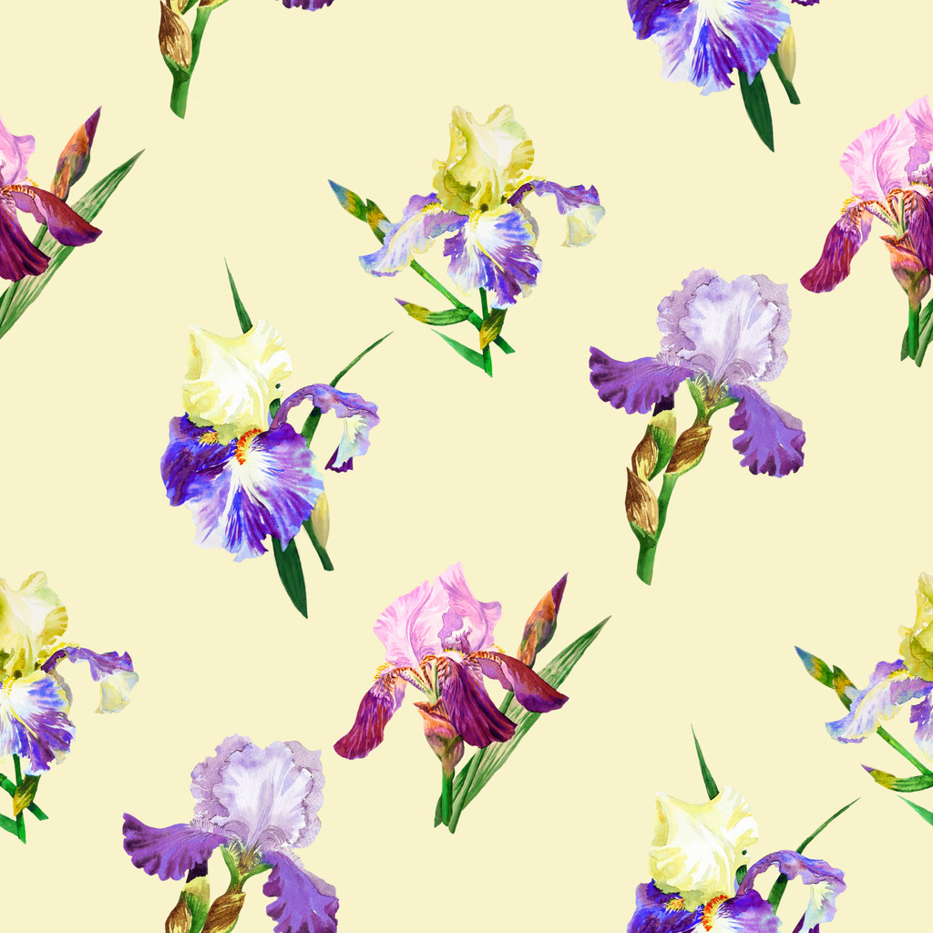 Patrón sin costura con iris de colores
 - Foto, Imagen