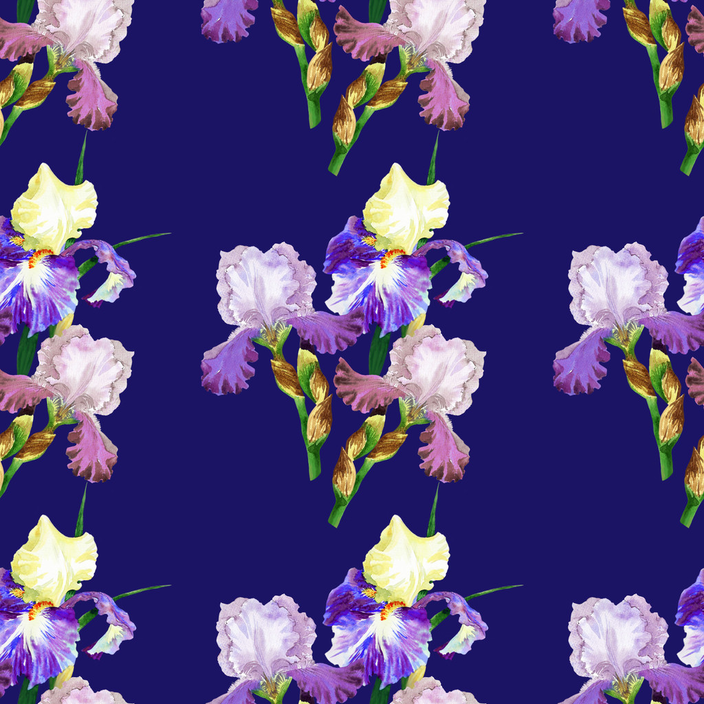 Seamless pattern with colored irises - Photo, Image