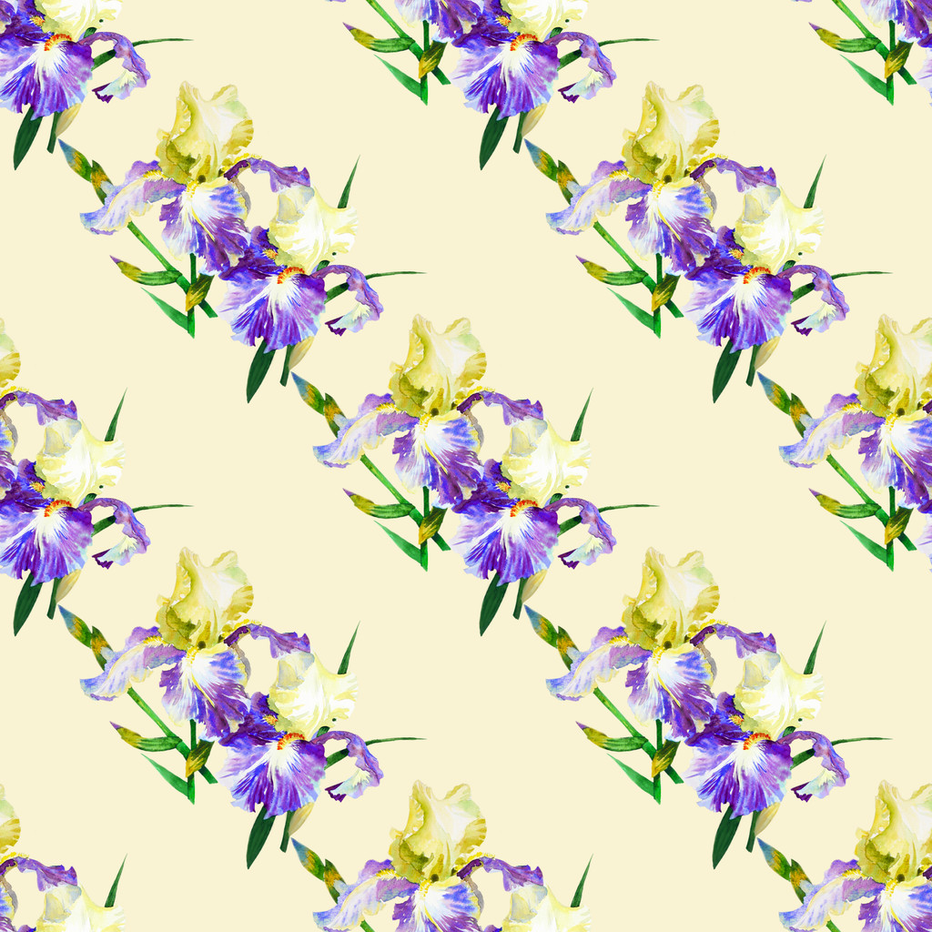 Patrón sin costura con iris de colores
 - Foto, imagen