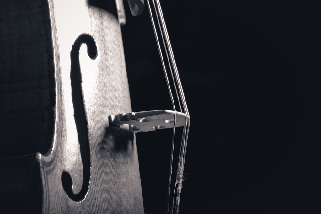 violin closeup photo on dark background - Photo, Image