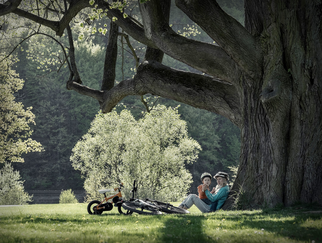 Madre e hijo con bicicletas en el parque
 - Foto, Imagen