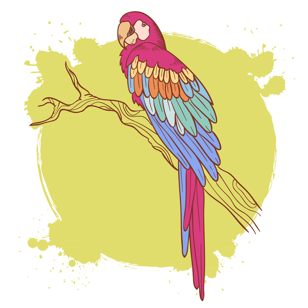 Colorful hand drawn ara parrot sitting on a tree brunch isolated - Vector, Image