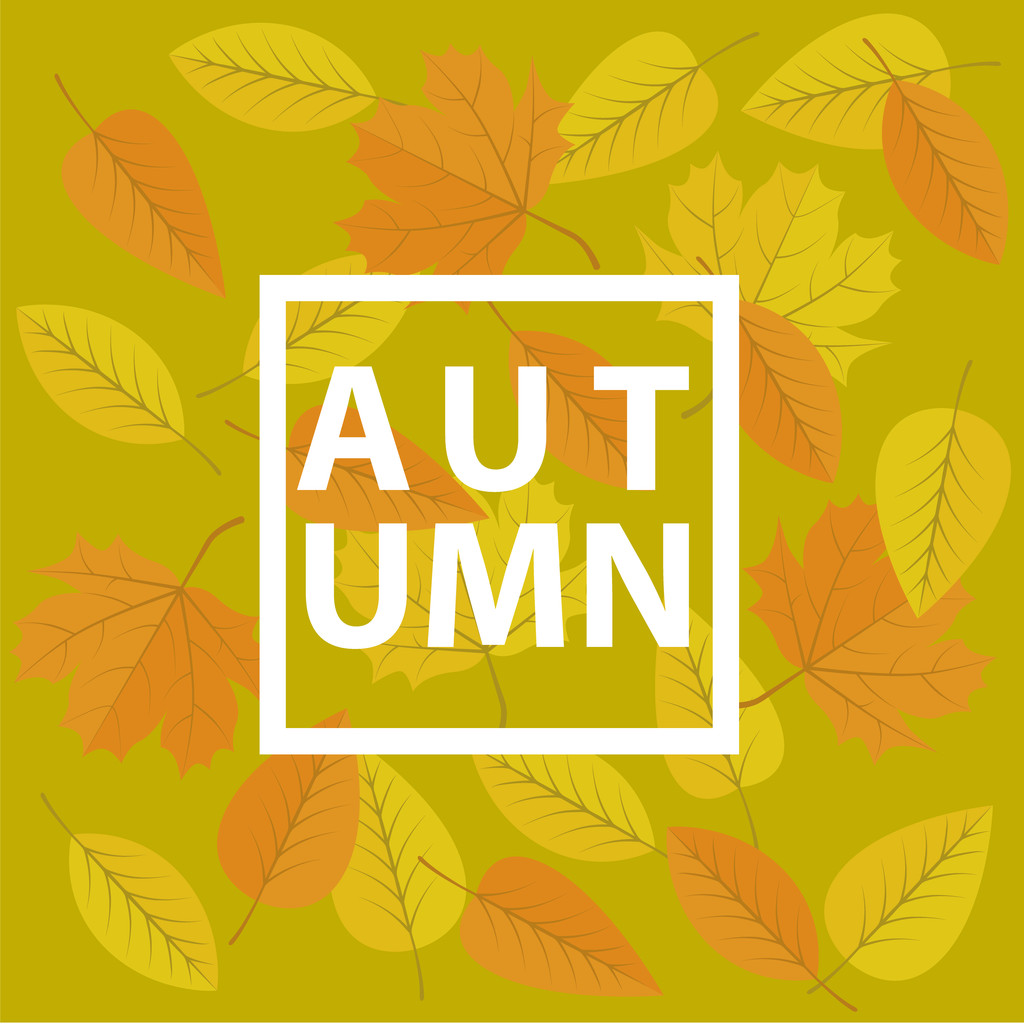 Herbst hellgrünen Hintergrund mit Blättern - Vektor, Bild