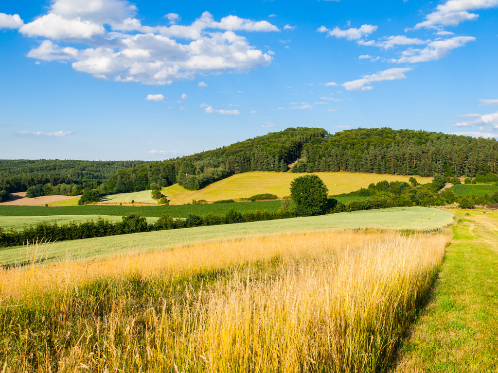 Verano paisaje montañoso conel campo verde, bosques, cielo azul y nubes blancas
 - Foto, imagen