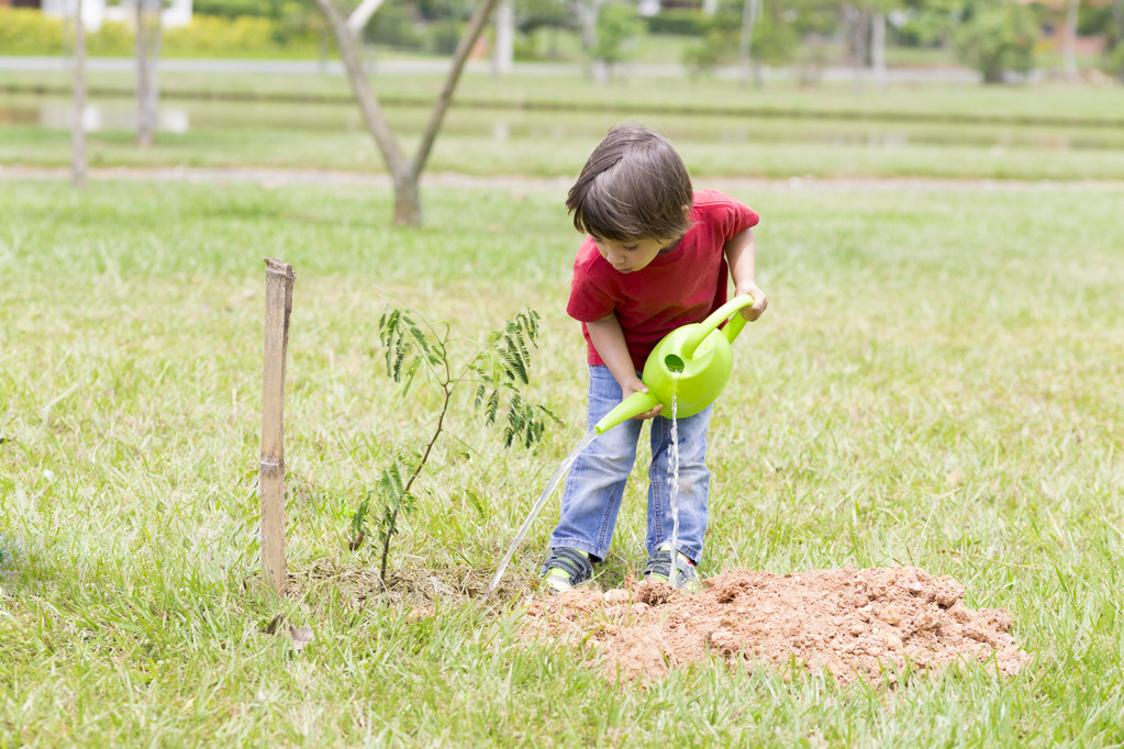 Malý chlapec zavlažování rostliny venku - Fotografie, Obrázek