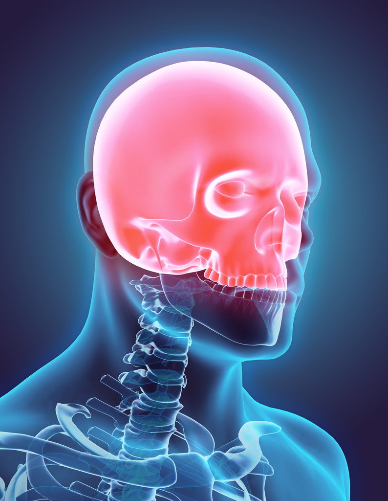 3D иллюстрация Cranium, медицинская концепция
. - Фото, изображение