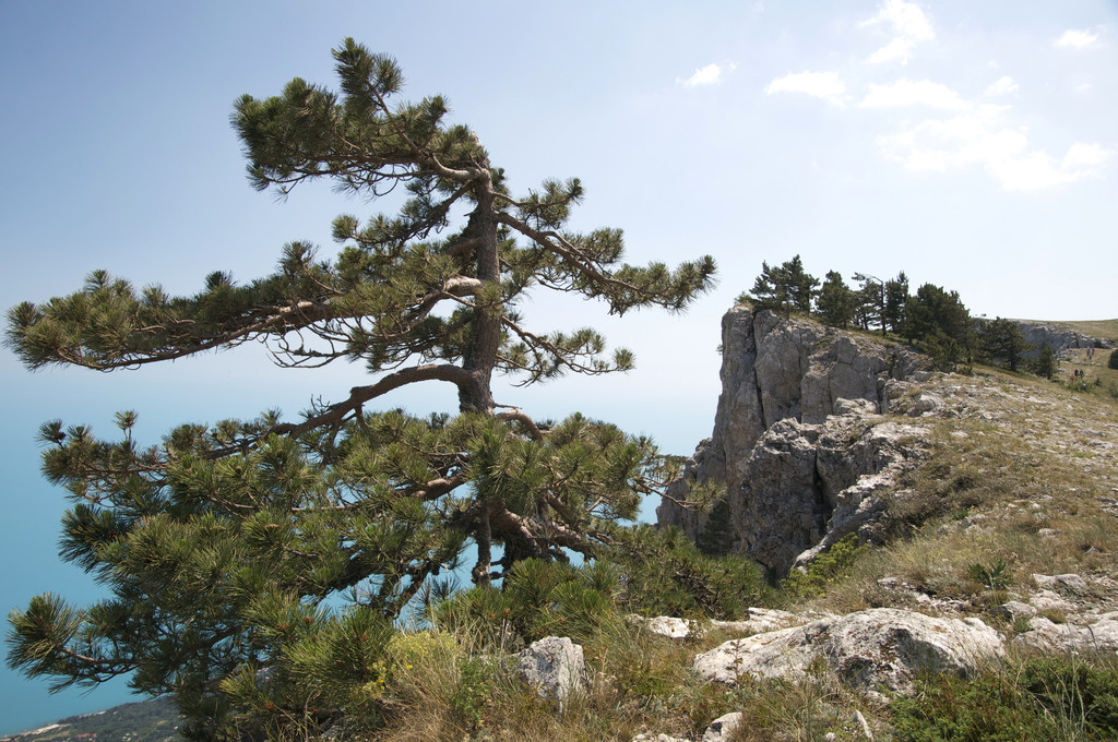 Mountain Crimea in Ukraine - Photo, Image