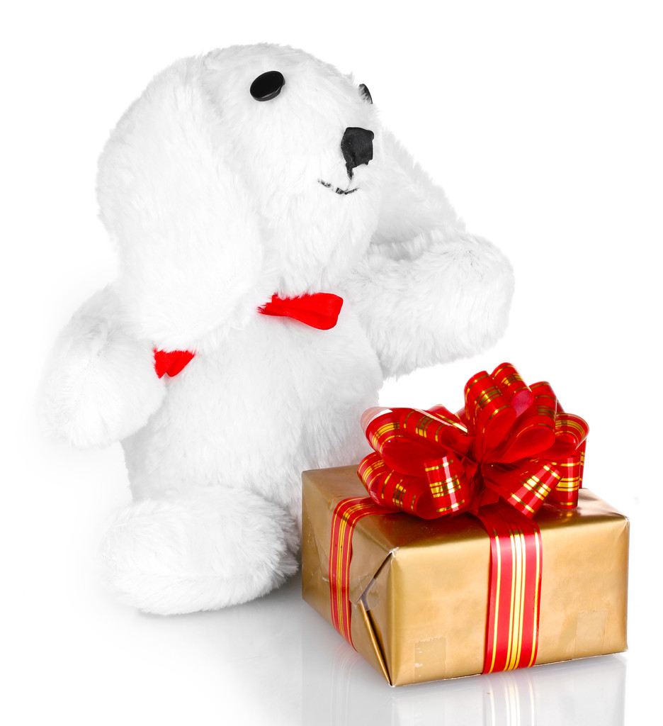 witte bunny & geschenk doos geïsoleerd op wit - Foto, afbeelding