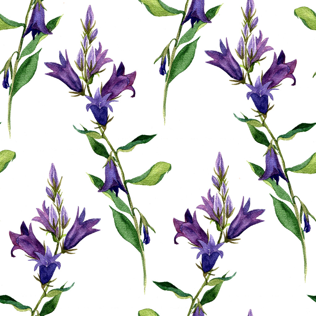 wzór z akwarela rysunek blue bell kwiaty - Zdjęcie, obraz
