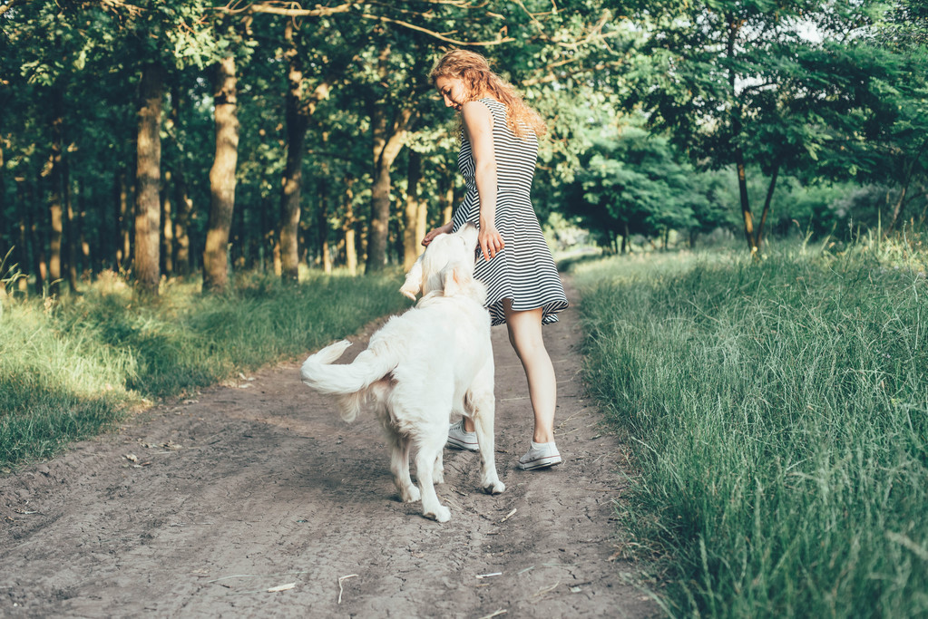köpek park ile oynayan kız - Fotoğraf, Görsel