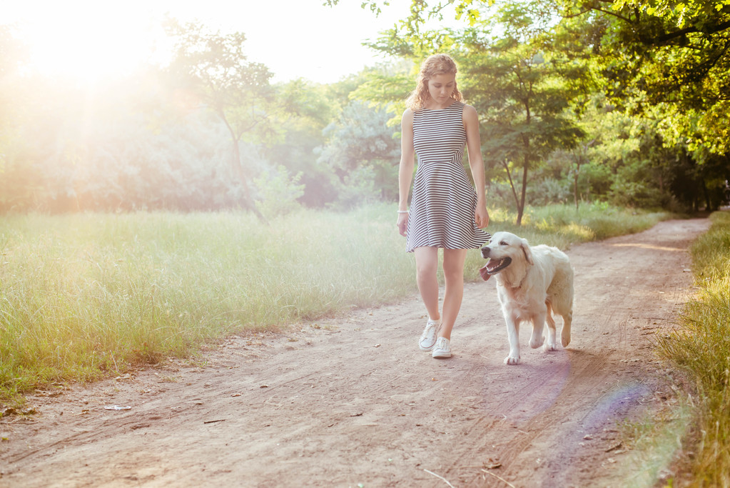 Chica caminando con perro en el parque
 - Foto, Imagen