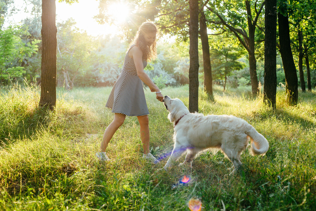 chica jugando con perro en parque
 - Foto, Imagen