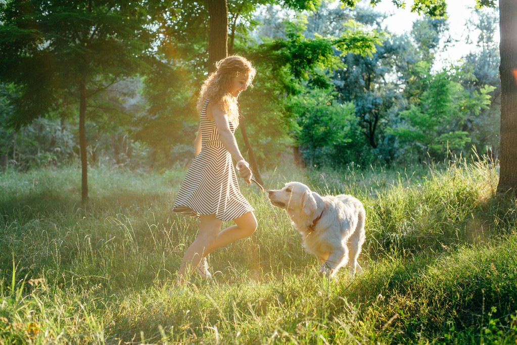 κορίτσι παίζει με το σκύλο στο πάρκο - Φωτογραφία, εικόνα