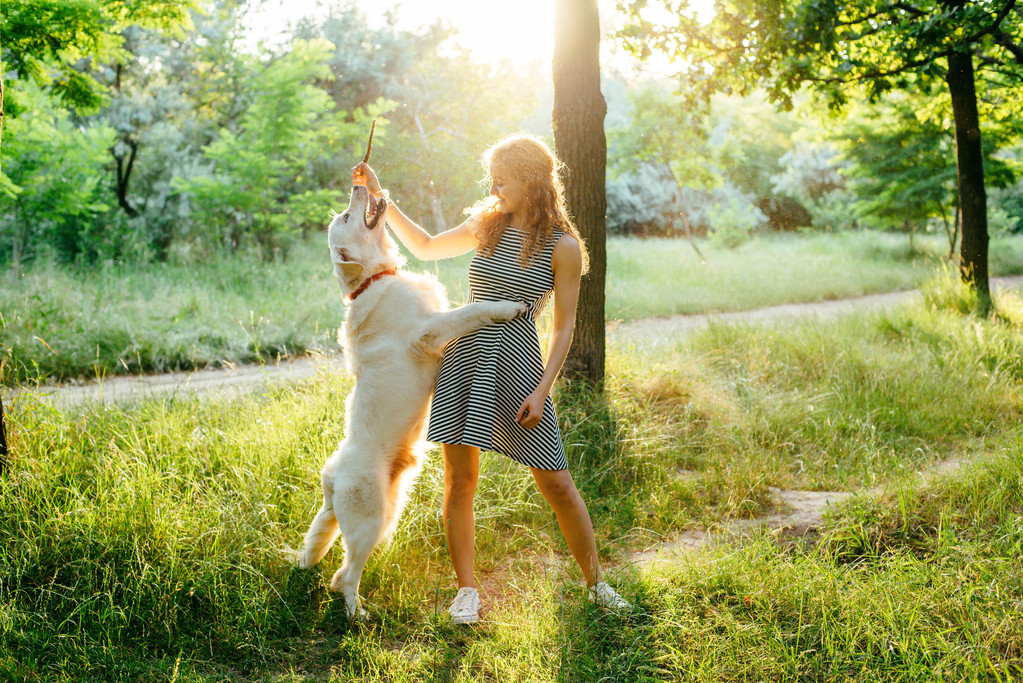 fille jouer avec chien dans le parc
 - Photo, image