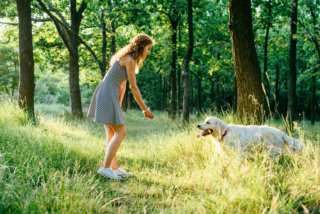 dívka si hraje s psa v parku - Fotografie, Obrázek