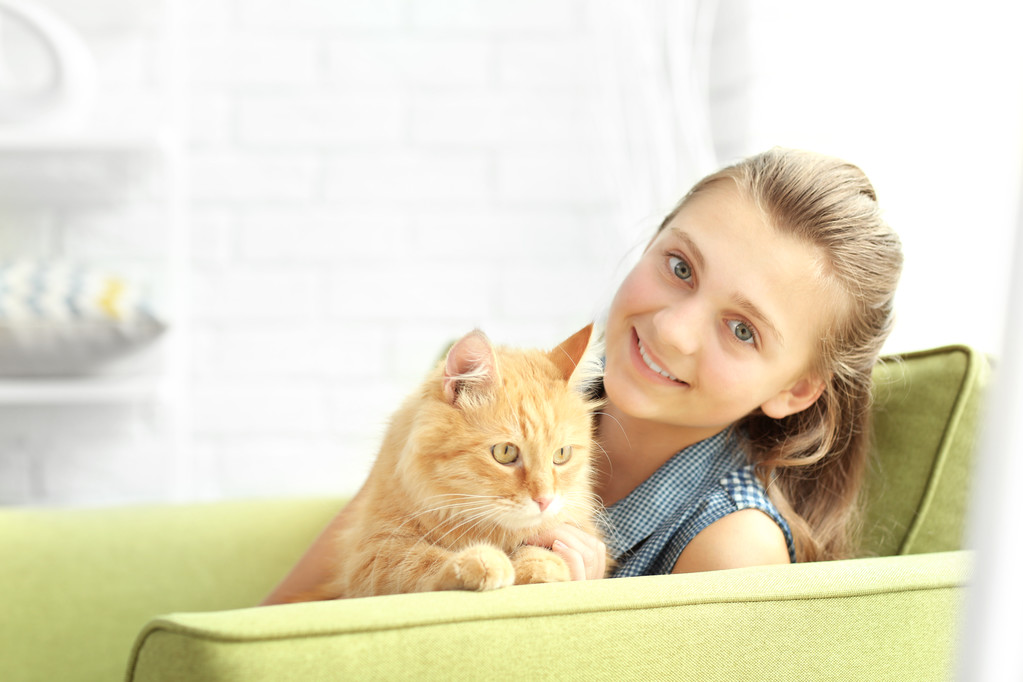 Belle fille avec chat mignon sur fauteuil vert
 - Photo, image