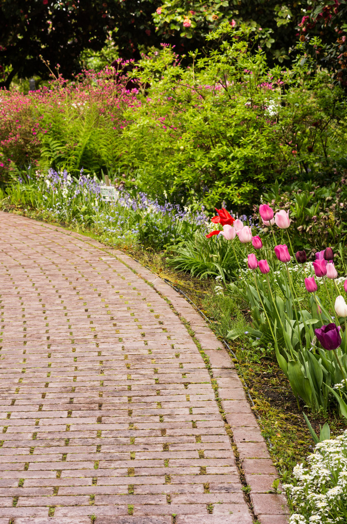 Paved path or walk through garden - Photo, Image