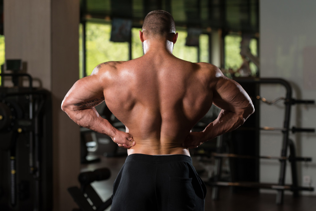 Vue arrière d'un bodybuilder
 - Photo, image
