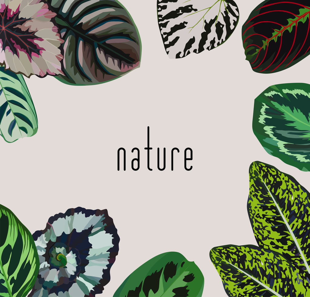 Eslogan naturaleza hojas marco
 - Vector, Imagen