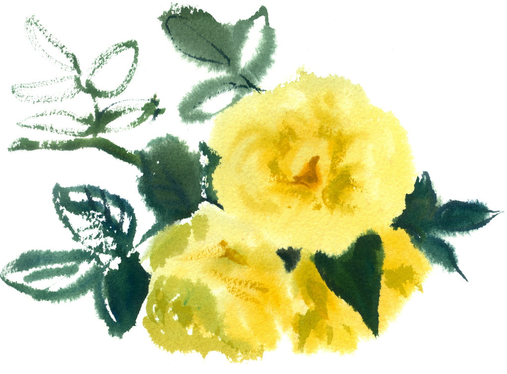 Acuarela Rosas amarillas
 - Foto, imagen