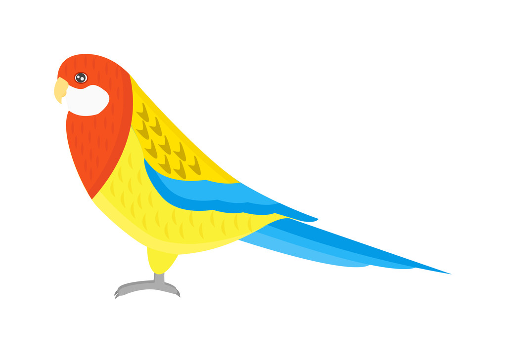 Papagaio de desenhos animados vector isolado pássaro
 - Vetor, Imagem