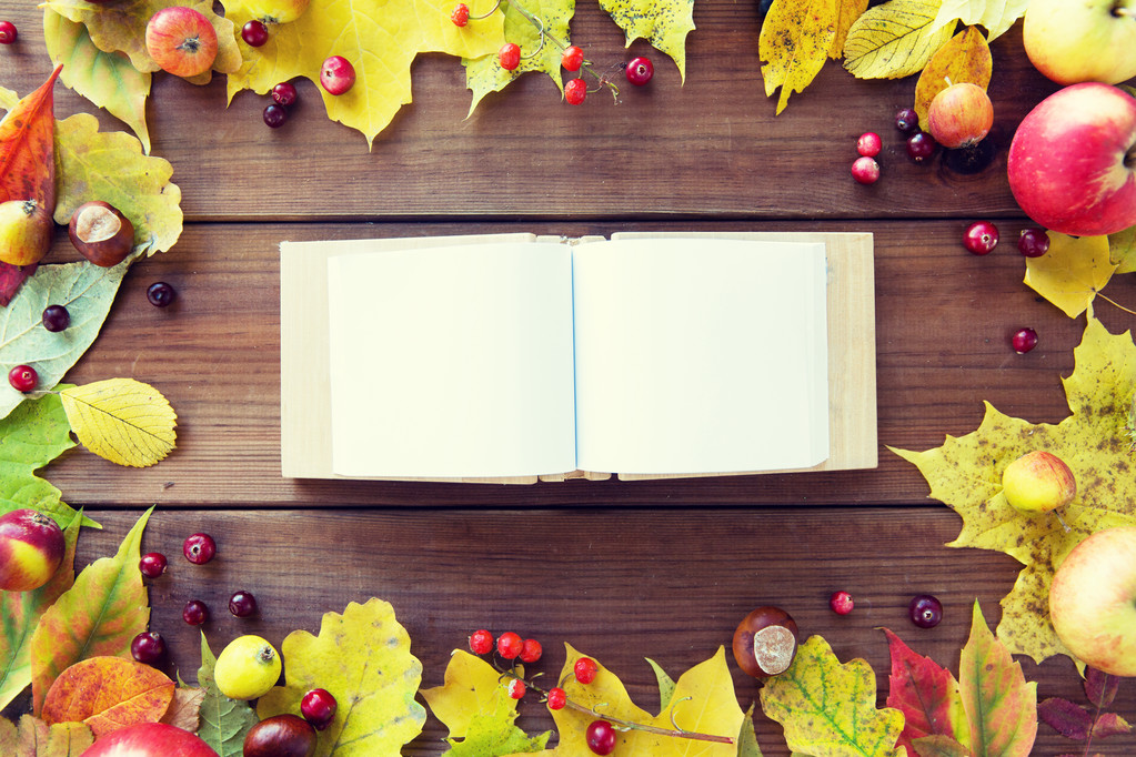 libro vacío con hojas de otoño, frutas y bayas
 - Foto, Imagen