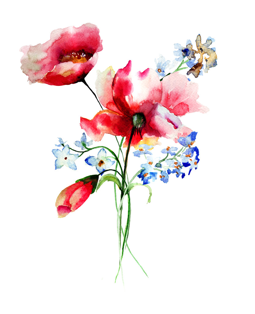 ακουαρέλα εικονογράφηση λουλούδια άνοιξη - Φωτογραφία, εικόνα