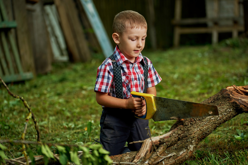menino serrar caído árvore no jardim
 - Foto, Imagem