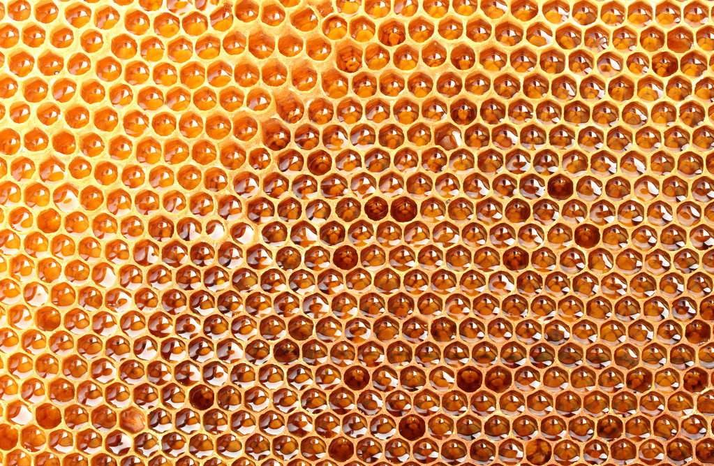 jaune beau nid d'abeille avec du miel, fond
 - Photo, image