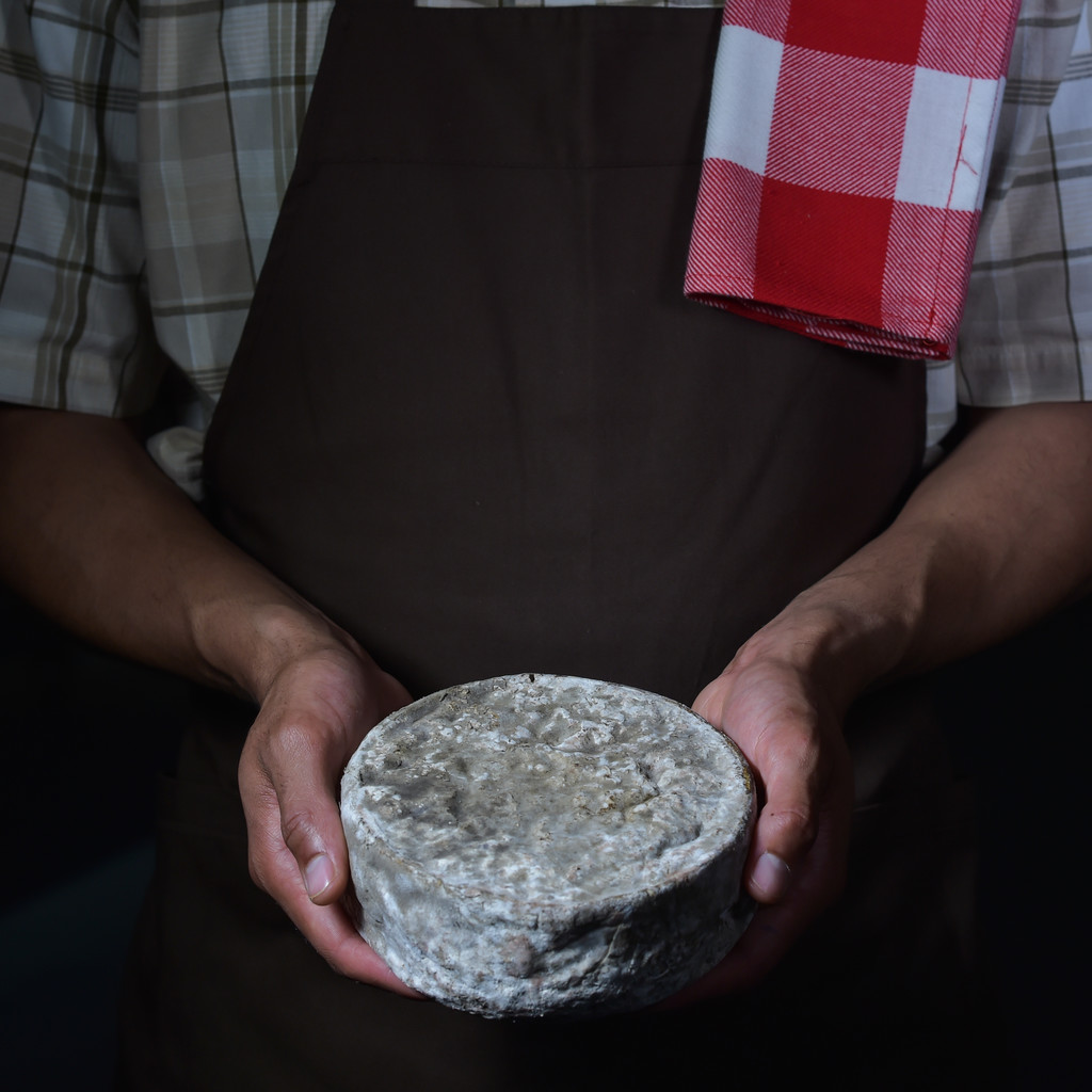 Fransız tomme peynir bir cheesemaker elinde - Fotoğraf, Görsel