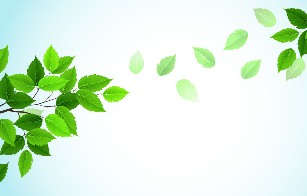 zöld levelű ág - Vektor, kép