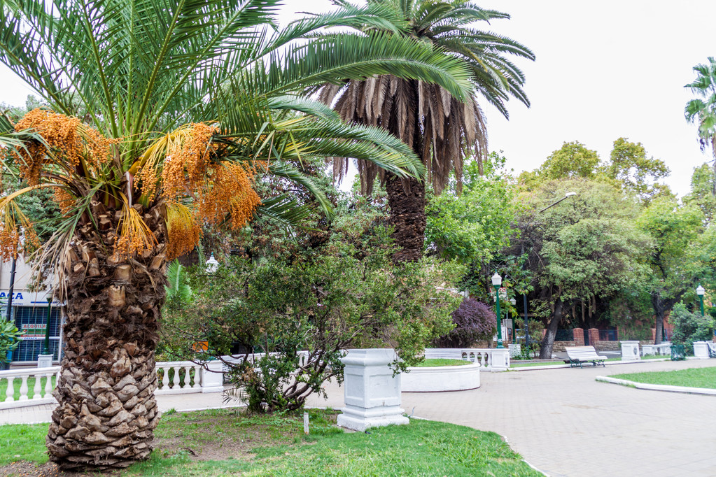 Parc à la place Independencia à Mendoza, Argentine
 - Photo, image