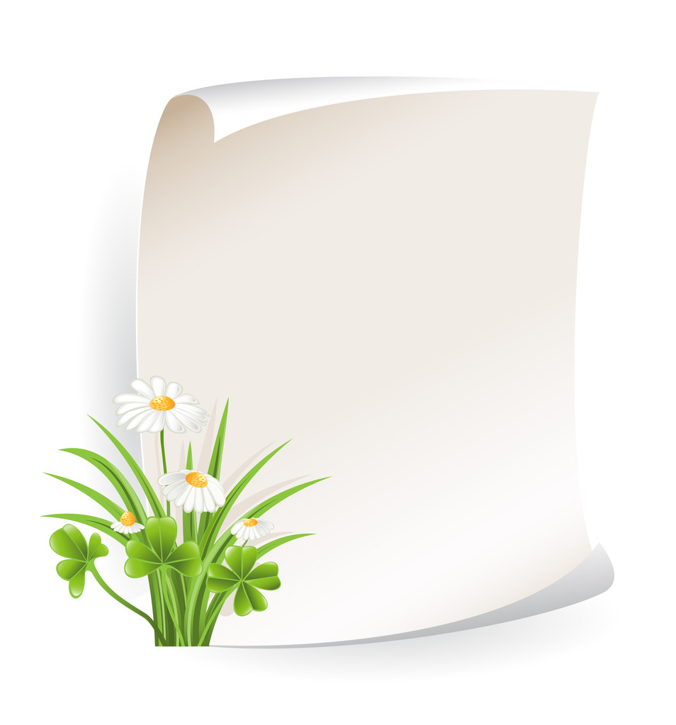 Banner de papel con flor
 - Vector, imagen