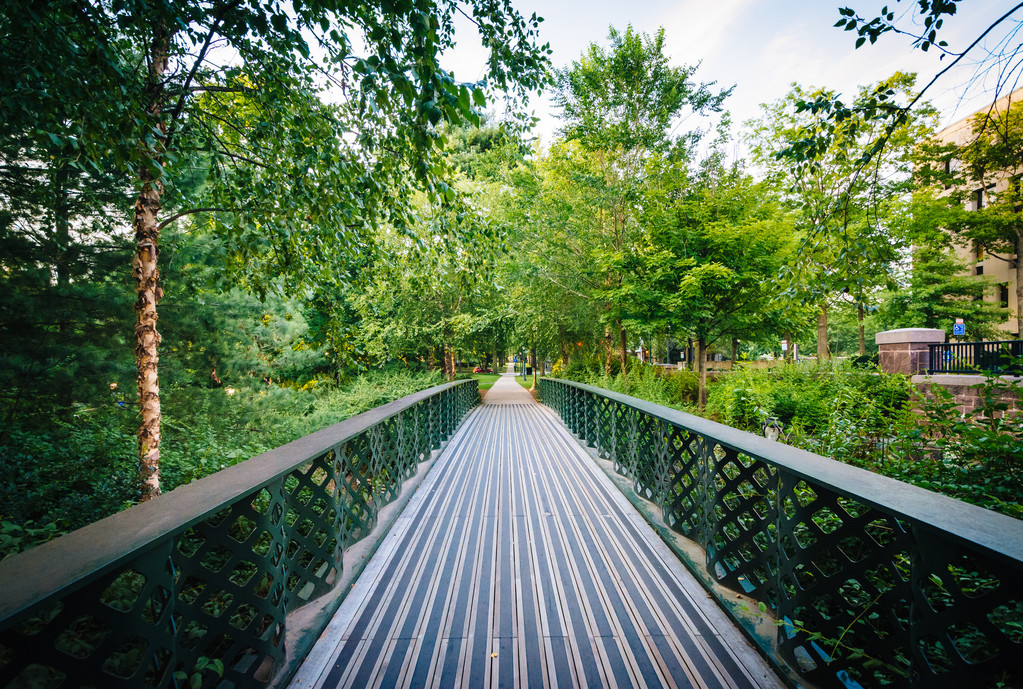 Пешеходный мост в Йельском университете, Нью-Хейвен, Коннектикут
. - Фото, изображение