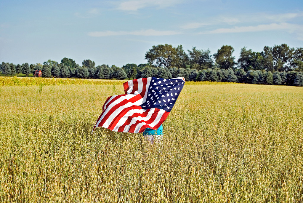 Bandera en el campo de trigo
 - Foto, imagen