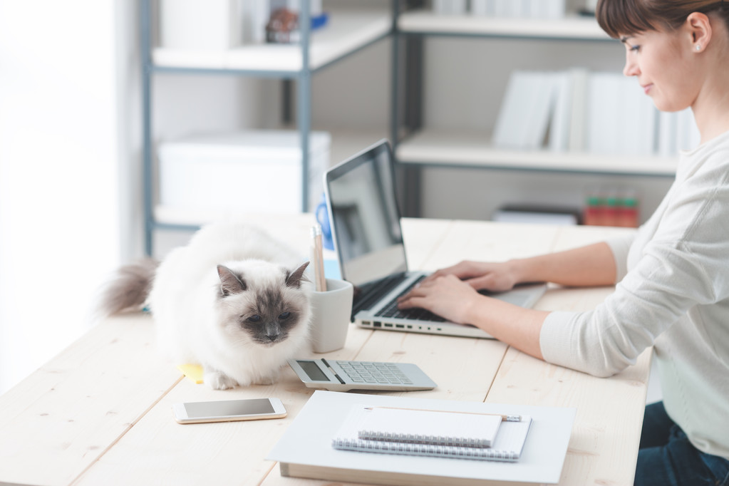 Mujer trabajando en el escritorio con su gato
 - Foto, imagen