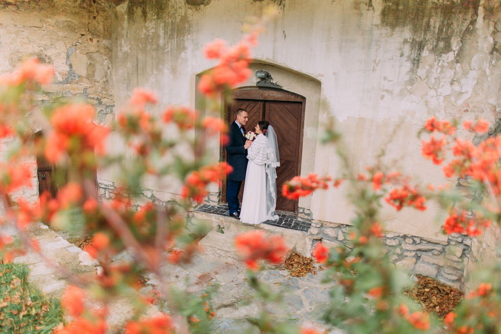 Bonito casal recém-casado beijando perto da entrada do antigo castelo arruinado com pequenas flores vermelhas bonitos em primeiro plano
 - Foto, Imagem