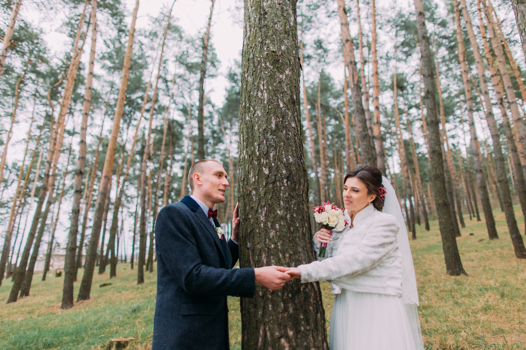 Juste marié portrait extérieur. Mignon blanc habillé mariée avec son beau marié posant dans la forêt de pins verts près de haut conifère arbre
 - Photo, image