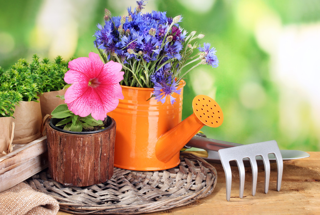 regadera, herramientas y flores sobre mesa de madera sobre fondo verde
 - Foto, Imagen