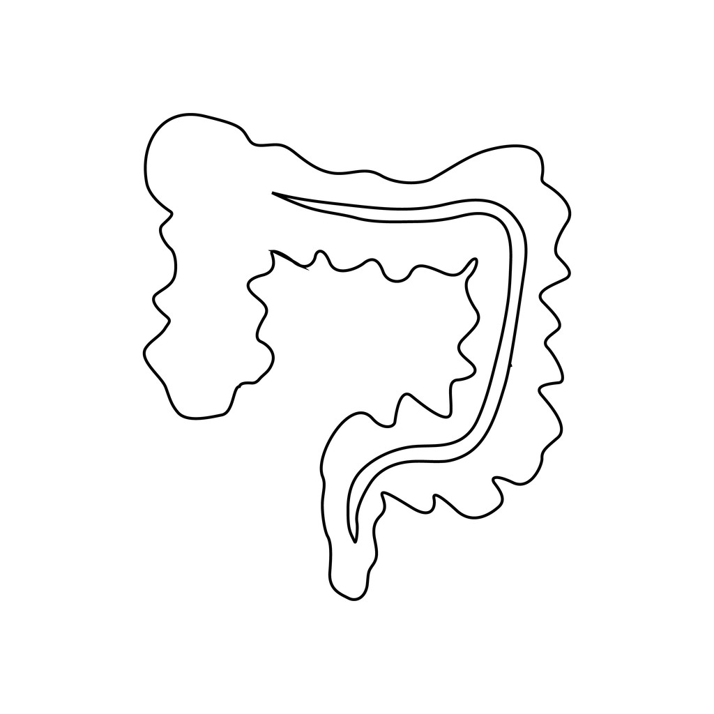 腸アイコン、アウトラインのスタイル - ベクター画像
