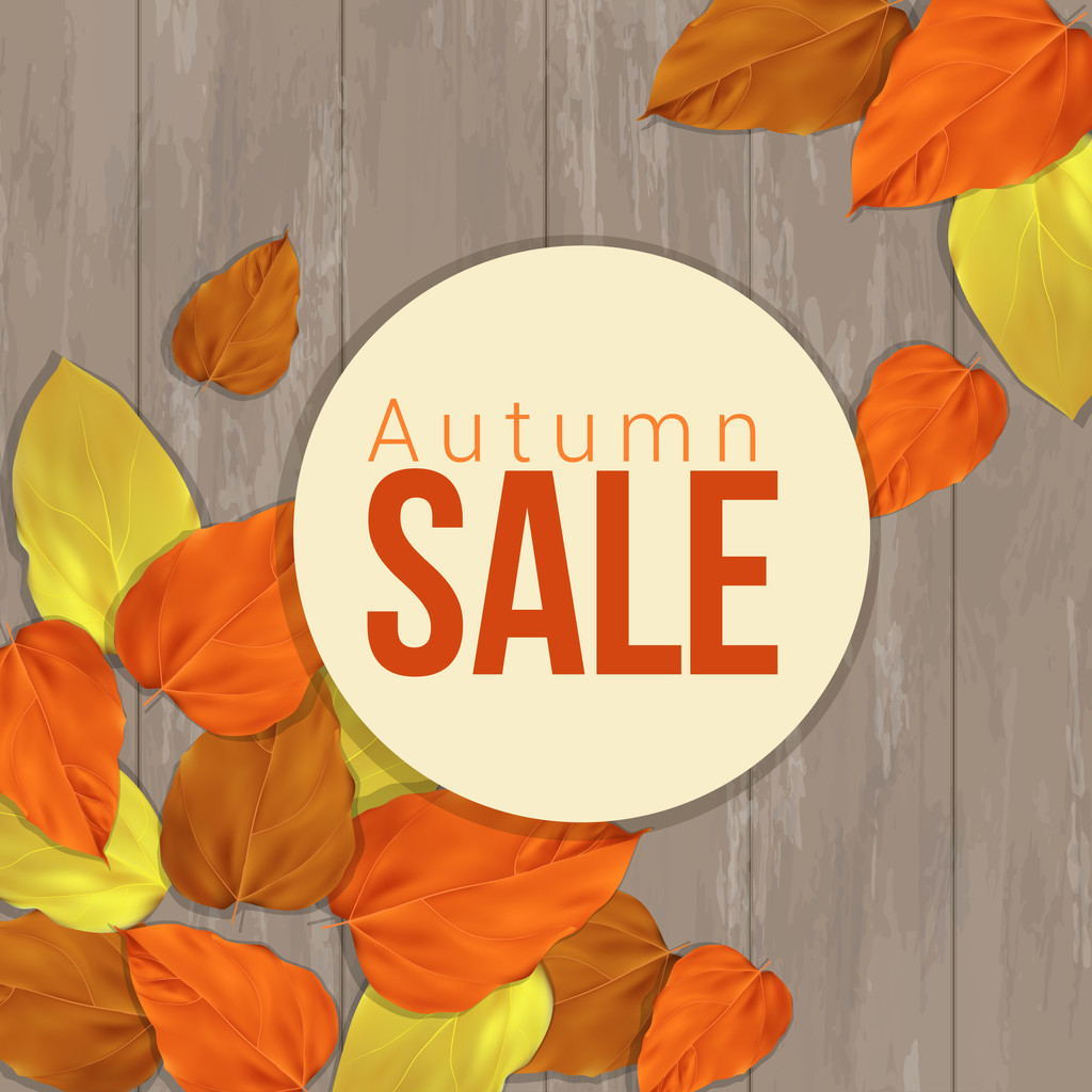 Seasonal autumn sale business background, vector - Vector, Image