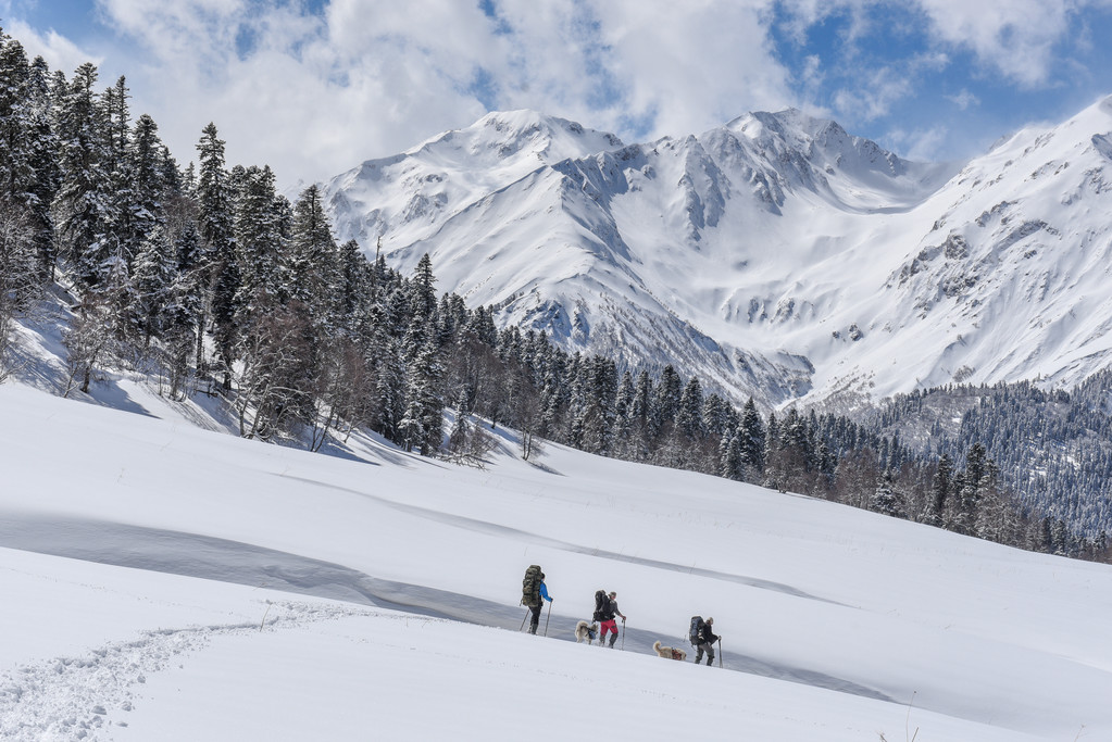 Tres turistas caminan a través de las montañas de invierno con sus perros
 - Foto, Imagen